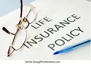 Group Term Life Insurance